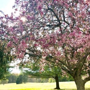 Meet your Posher, Jillian